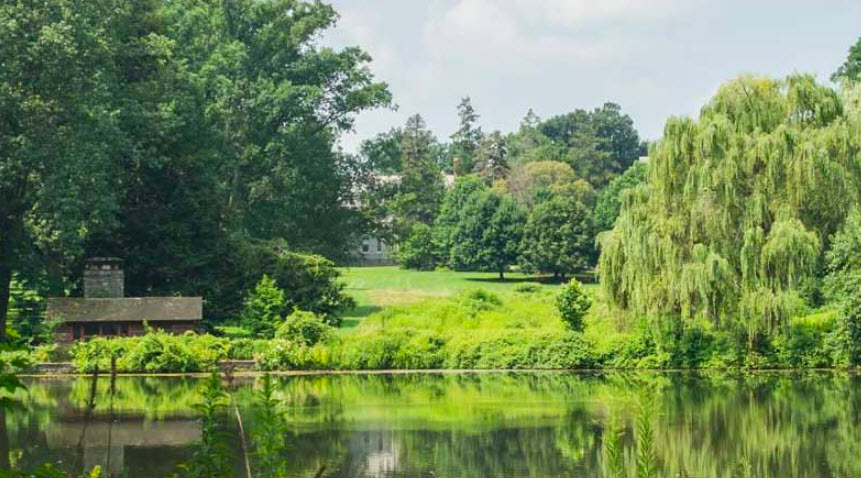 Haverford College Arboretum, United States